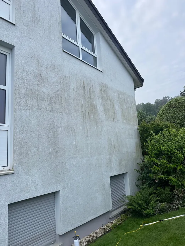Hausfassade: Schlieren und Grünbelag entfernt — vorher
