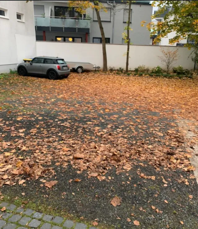 Parkplatz vom Herbstlaub befreit — vorher